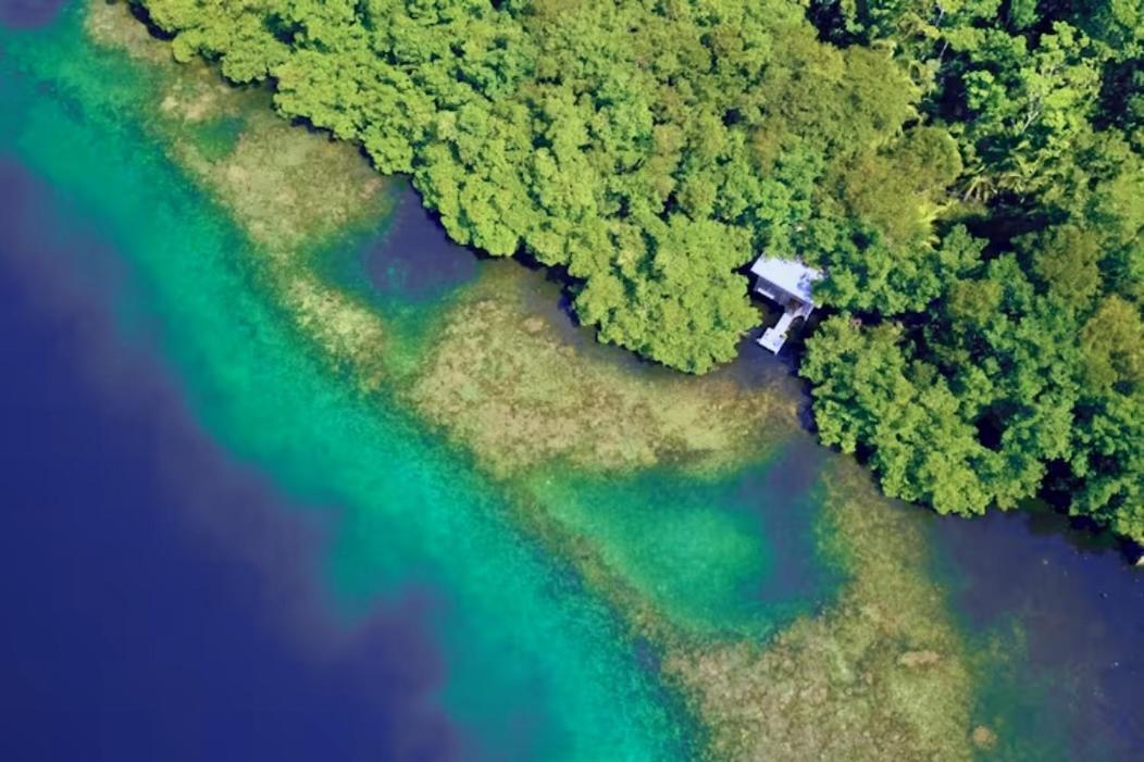 Отель Cocovivo Бокас-дель-Торо Экстерьер фото
